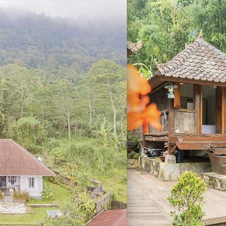 Four Monkeys House Villa Bedugul  Eksteriør billede