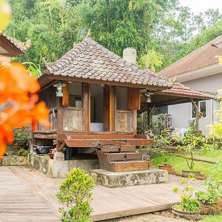 Four Monkeys House Villa Bedugul  Eksteriør billede