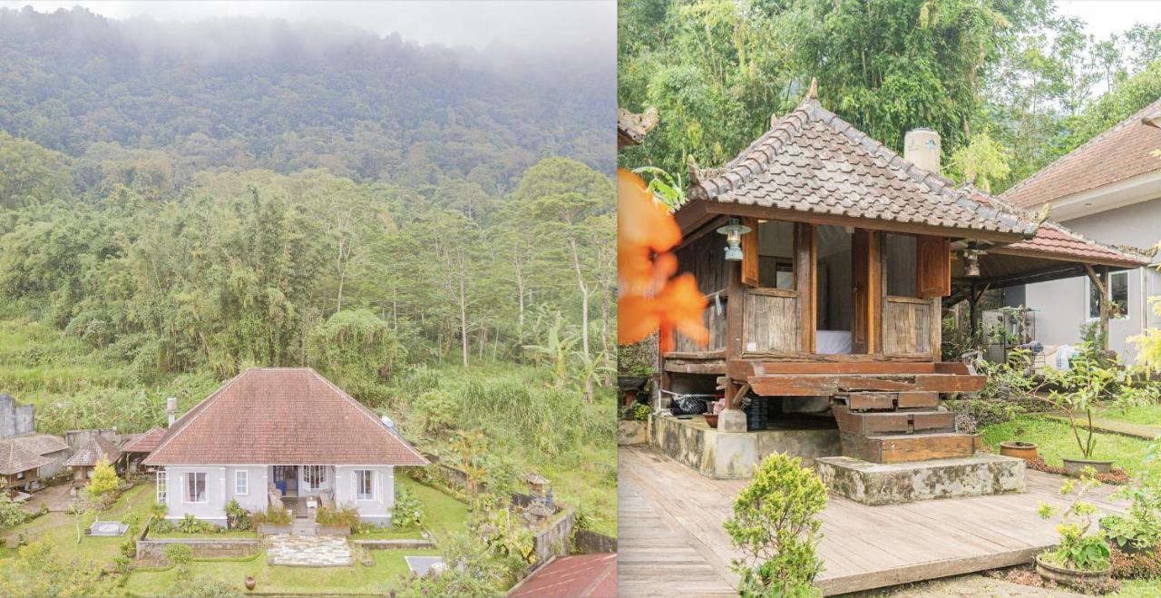 Four Monkeys House Villa Bedugul  Eksteriør billede