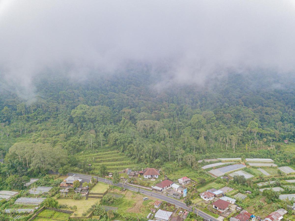 Four Monkeys House Villa Bedugul  Eksteriør billede