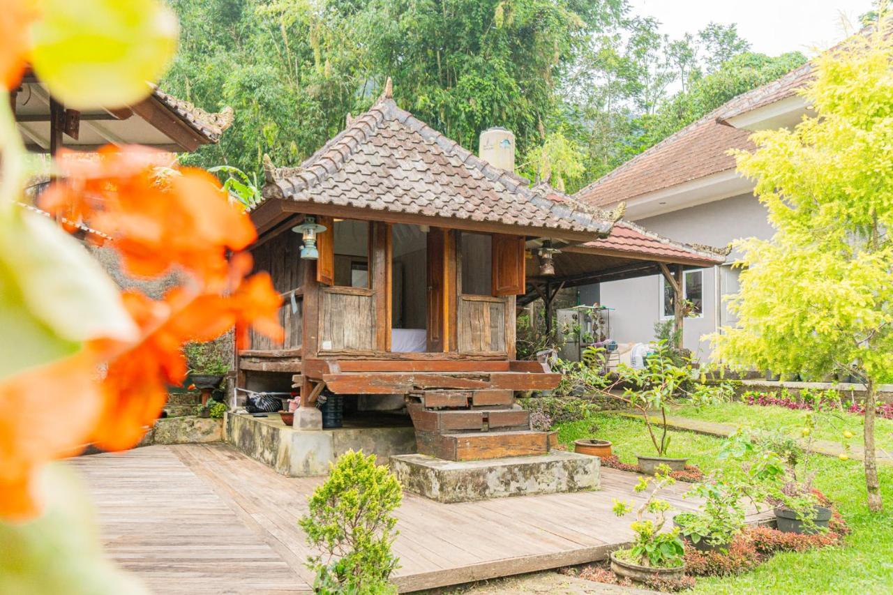 Four Monkeys House Villa Bedugul  Eksteriør billede