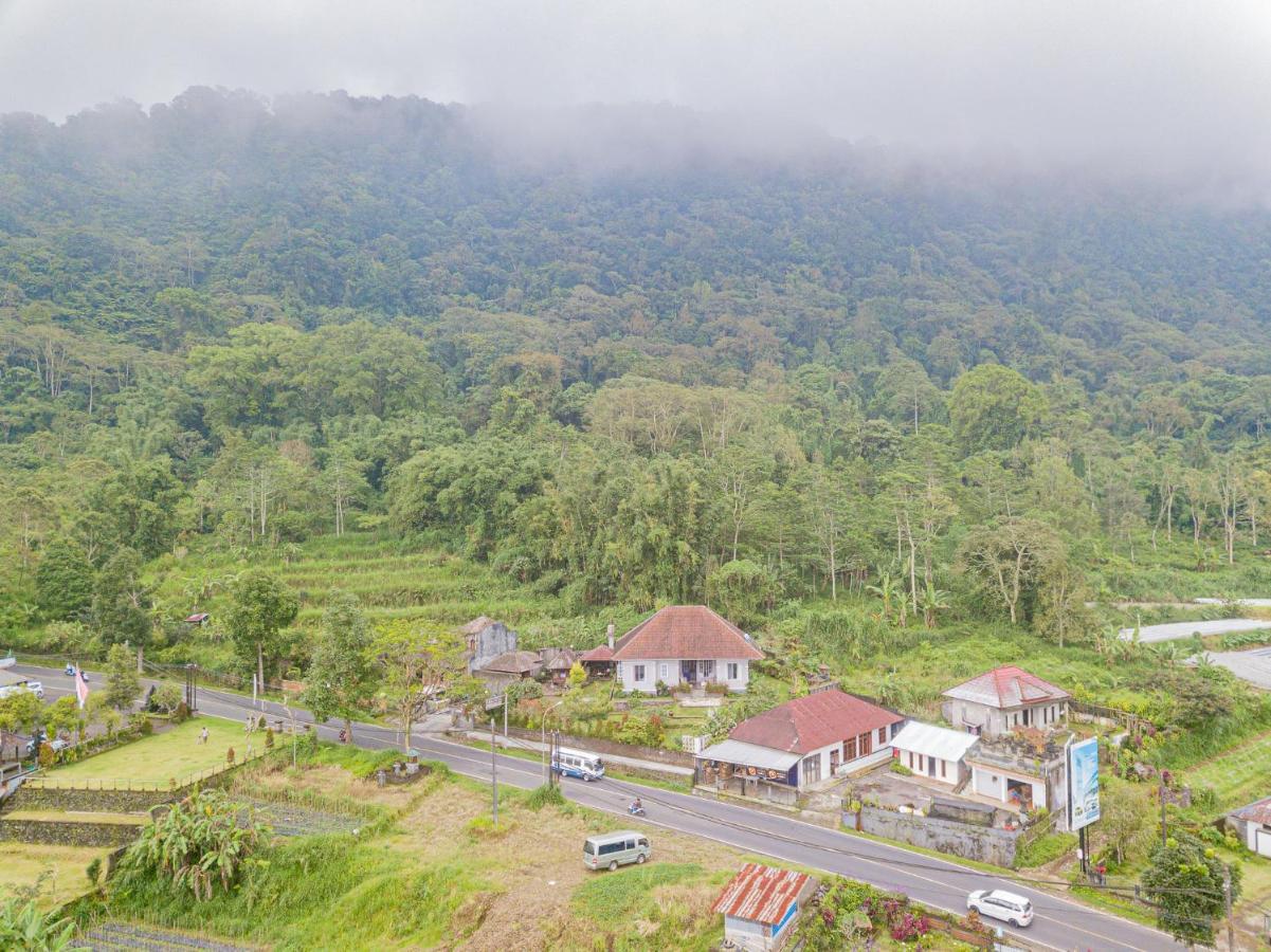 Four Monkeys House Villa Bedugul  Eksteriør billede